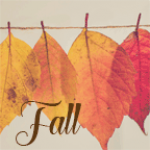 Fall